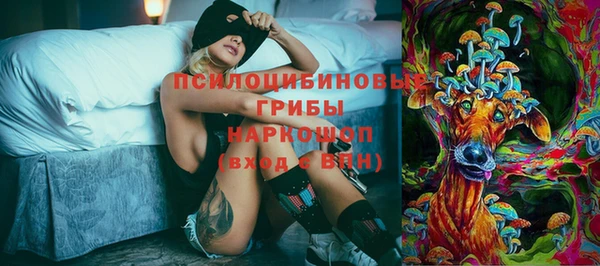 a pvp Саяногорск